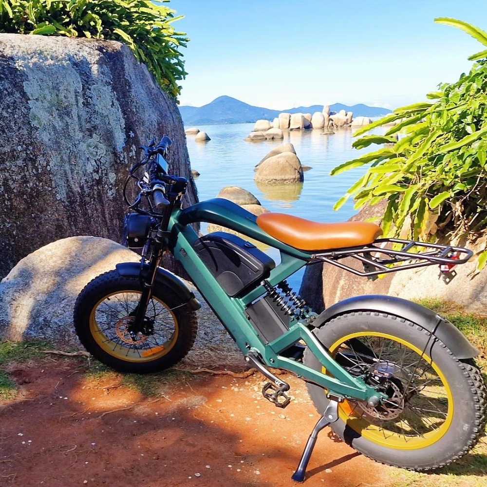 Inow X100 Pro 1000w Verde 🚲 Bicicleta Elétrica | Autonomia até 120km | Lançamento | Envio por Transportadora
