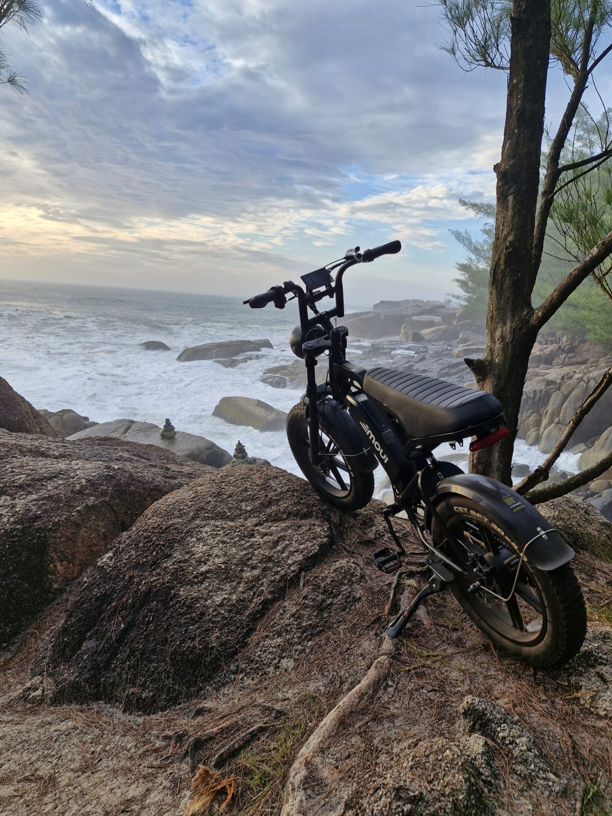 Descubra a Liberdade e o Conforto da Mobilidade Sustentável com a Bicicleta Elétrica Road20 da Movi