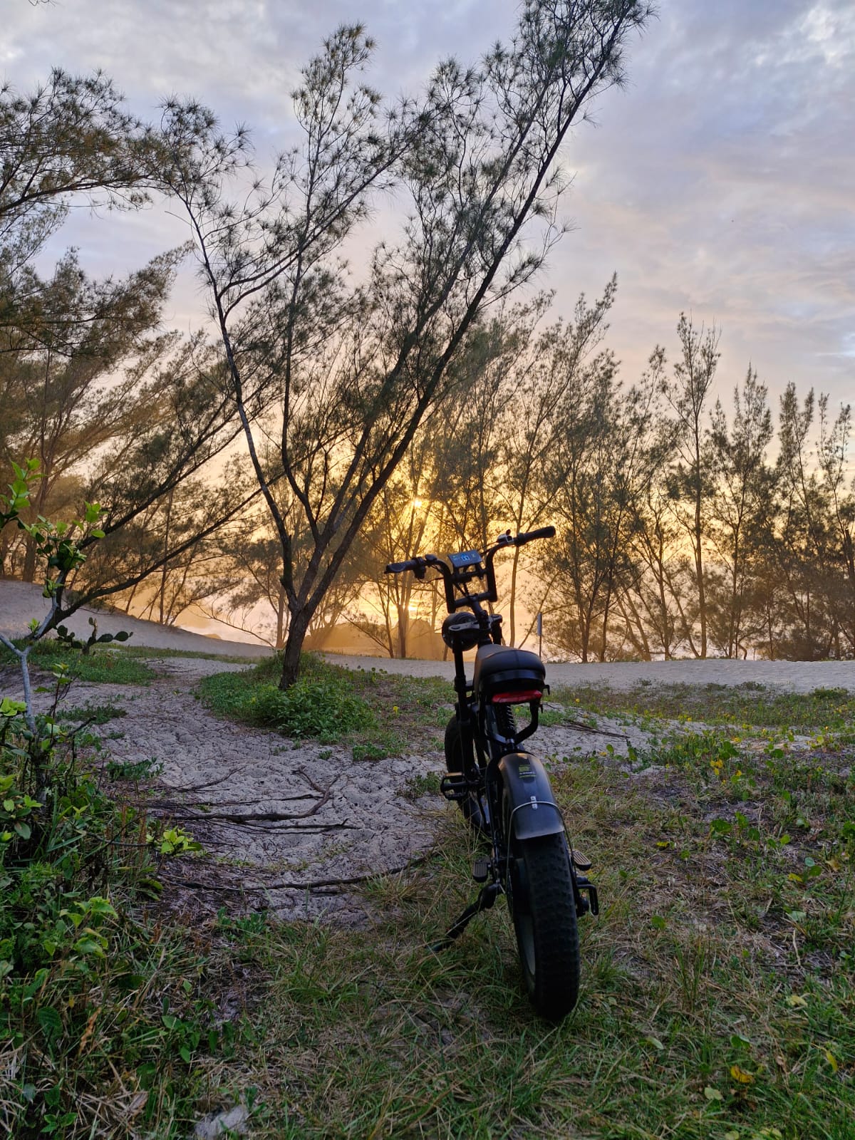 Descubra a Liberdade e o Conforto da Mobilidade Sustentável com a Bicicleta Elétrica Road20 da Movi