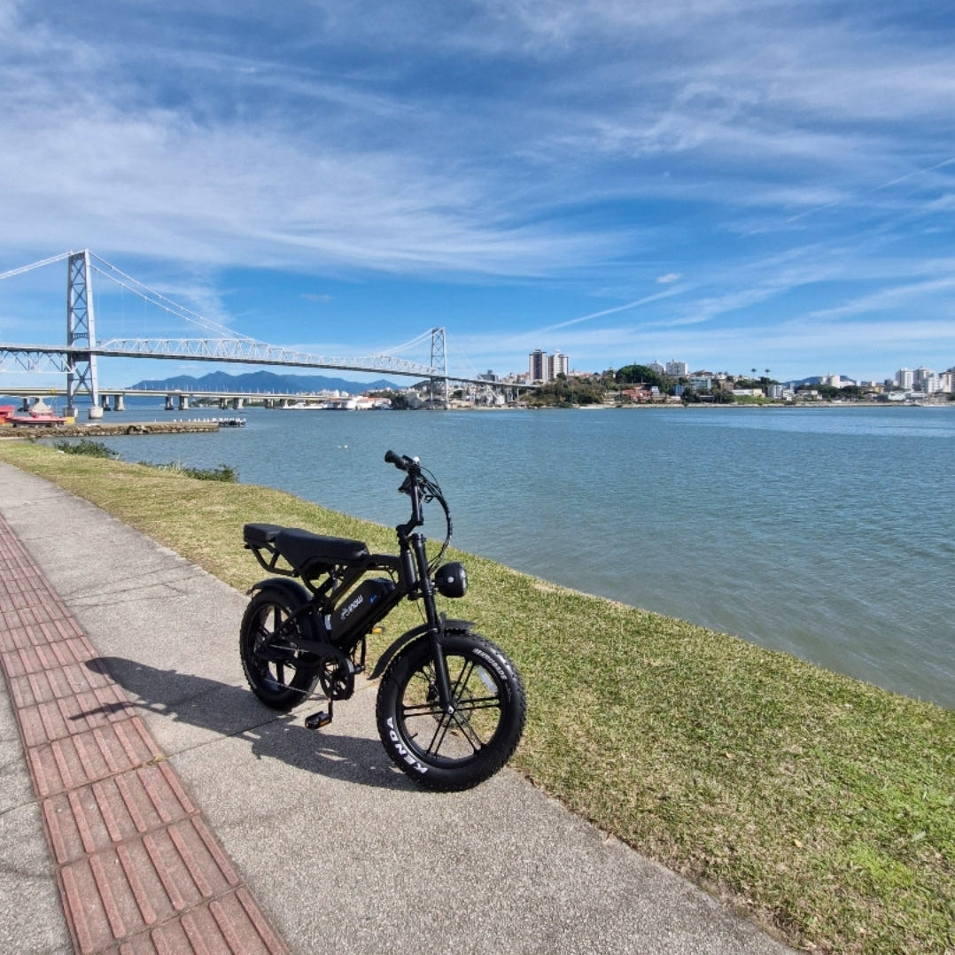 Inow V20 Brake 🚲 Bicicleta Elétrica 750 W | Freio a Disco Dianteiro e Traseiro | Suspensão Dupla | Piloto Automático | Sem CNH