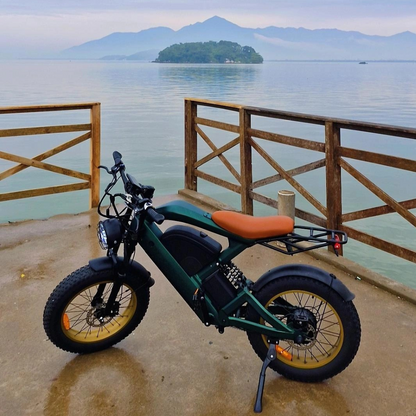 Inow X100 Pro 1000w Verde 🚲 Bicicleta Elétrica | Autonomia até 120km | Lançamento | Envio por Transportadora