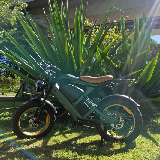 Inow X100 Pro 1000w Verde 🚲 Bicicleta Elétrica | Autonomia até 120km | Lançamento | Envio por Transportadora