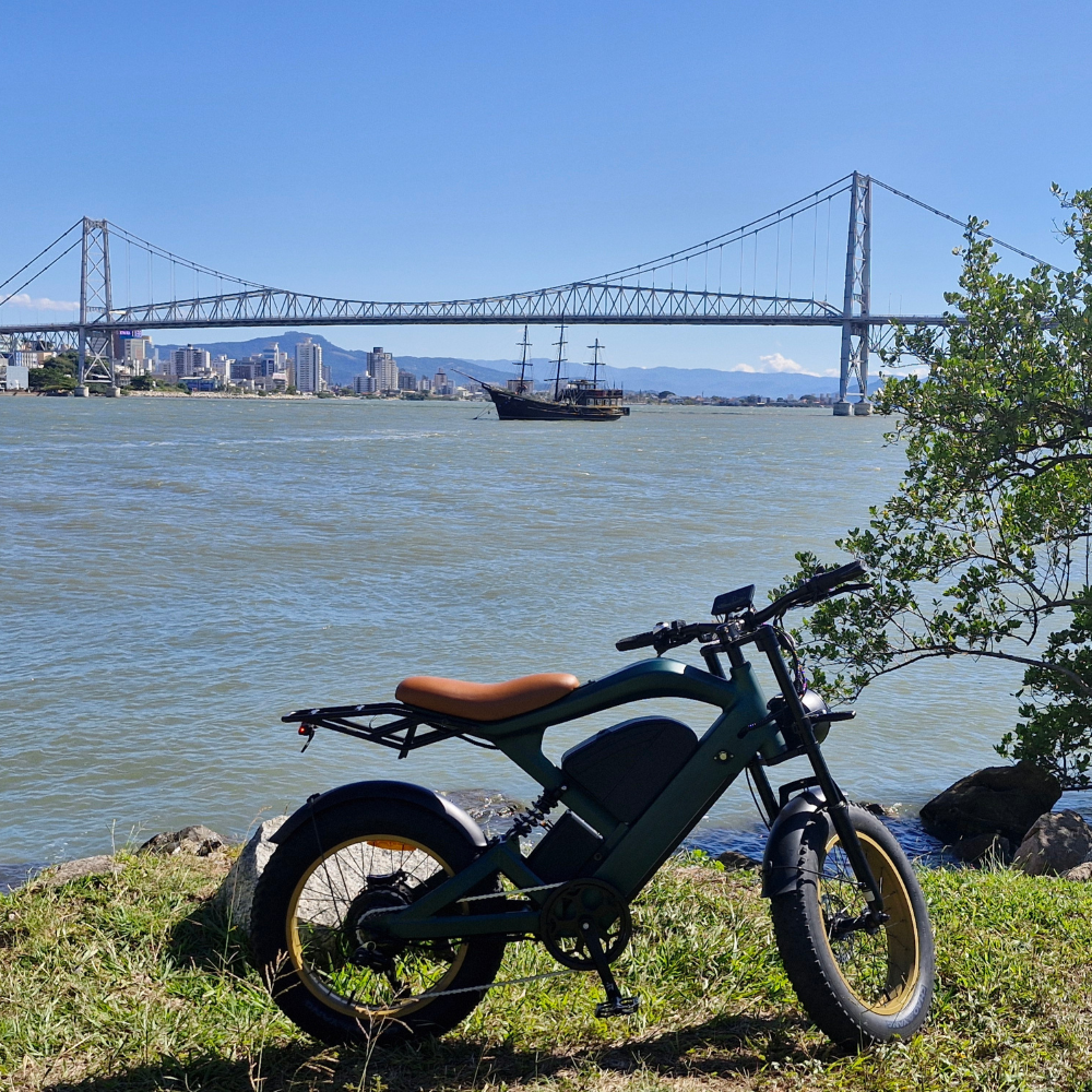 Inow X100 Pro 1000w Verde 🚲 Bicicleta Elétrica | Autonomia até 120km | Lançamento | Envio por Transportadora
