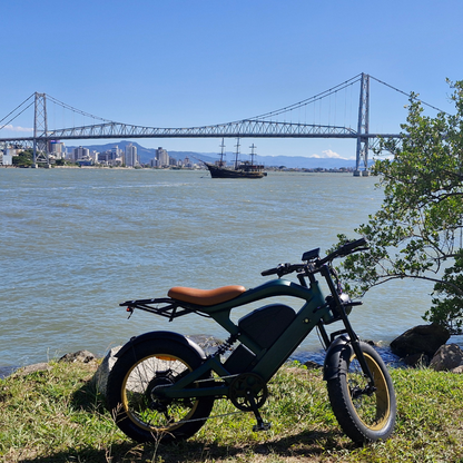 Inow X100 Pro 1000w Verde 🚲 Bicicleta Elétrica | Autonomia até 120km | Lançamento | Envio por Transportadora