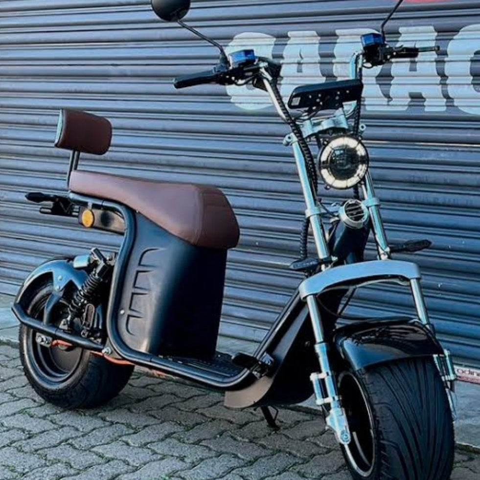 Scooter elétrica Panda R13 2000W super potente com conforto e grande autonomia – Ativo e Online
